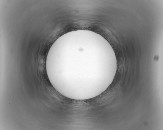 X0000090450866200708102047