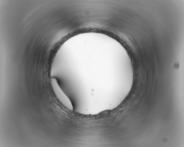 X0000090450872200708102047