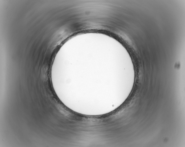 X0000090450873200708102047