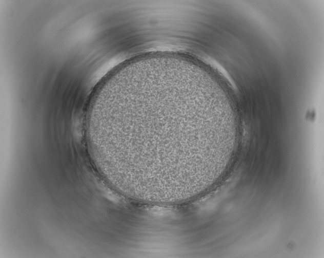 X0000090450874200708102047