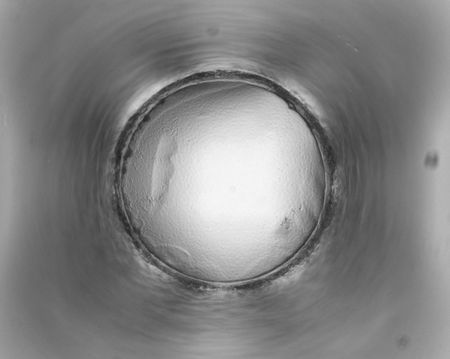 X0000090450877200708102047