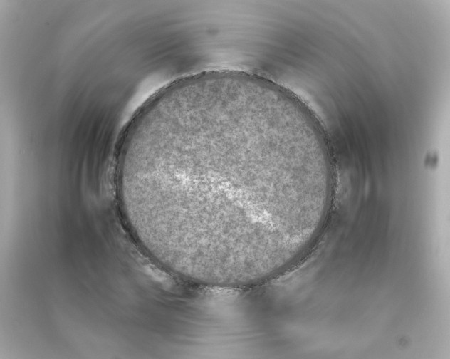 X0000090450878200708102047