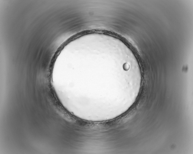 X0000090450879200708102047