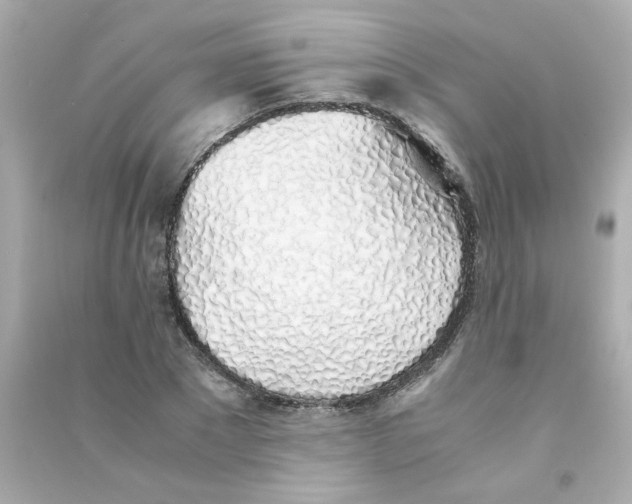 X0000090450881200708102047