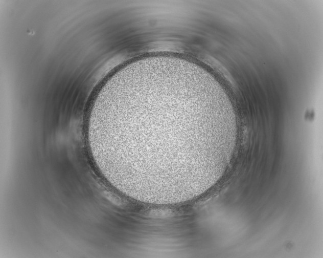 X0000090450882200708102047