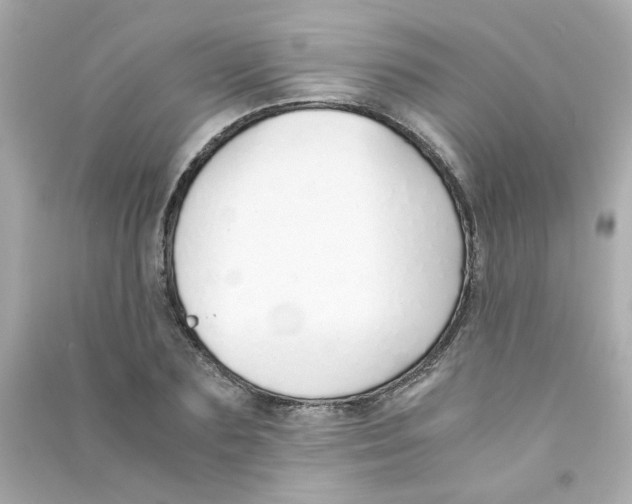 X0000090450883200708102047