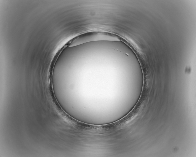 X0000090450885200708102047