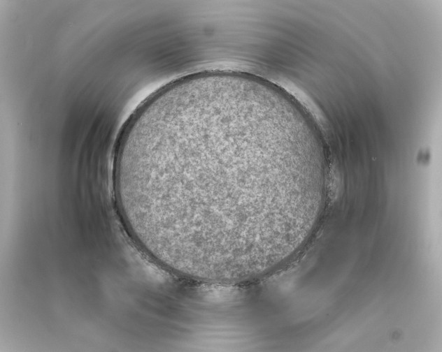 X0000090450886200708102047