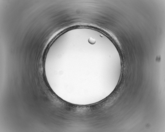 X0000090450887200708102047