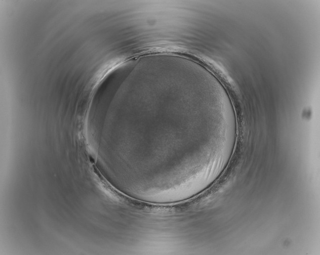 X0000090450889200708102047