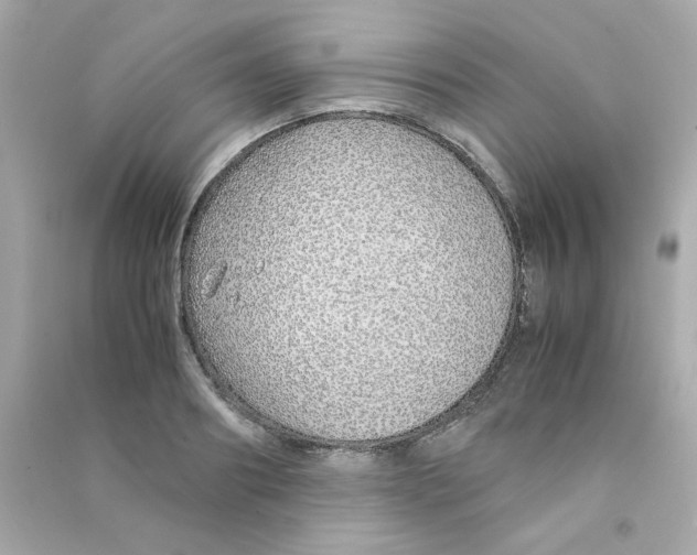 X0000090450890200708102047