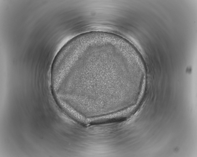 X0000090450891200708102047