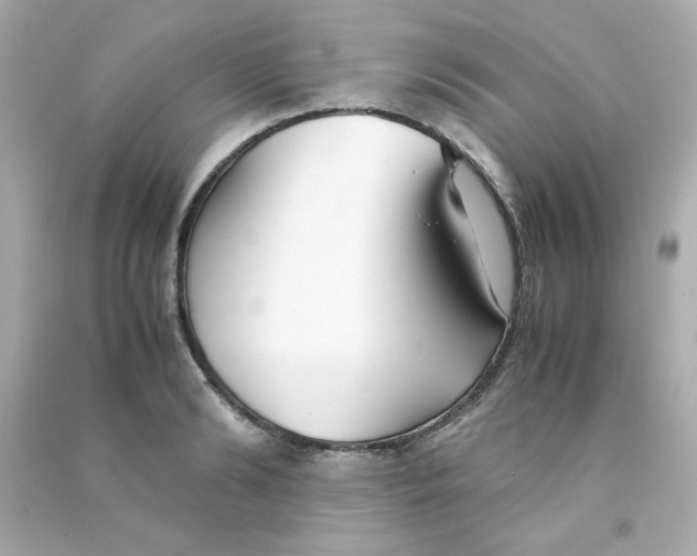 X0000090450894200708102046