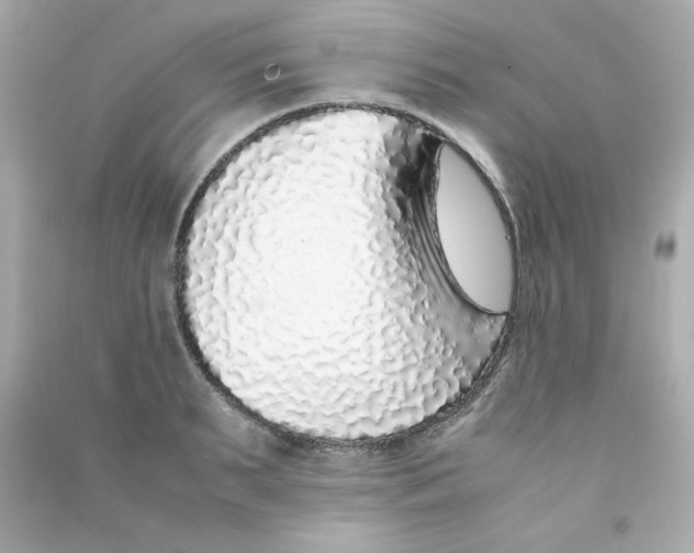 X0000090450895200708102046