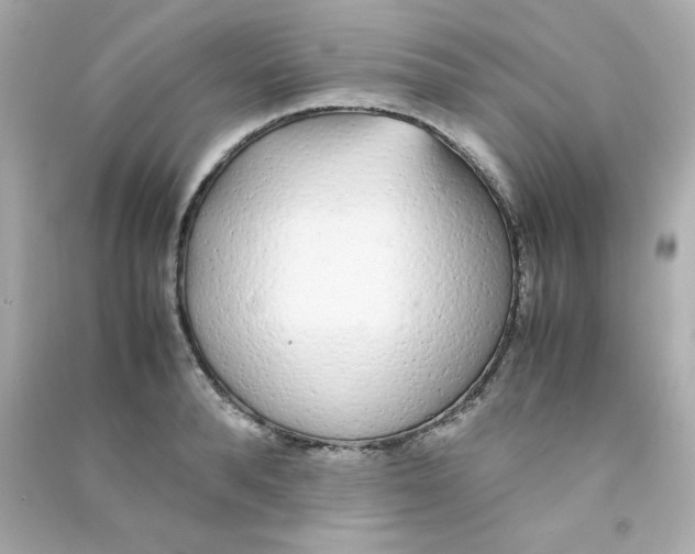 X0000090450896200708102046