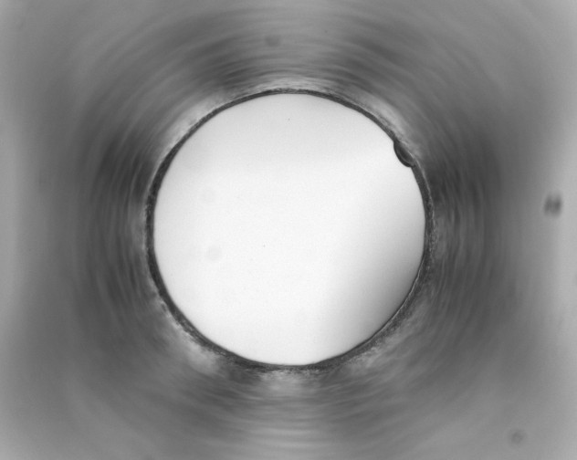 X0000090450898200708102046