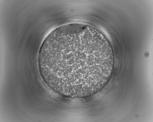 X0000090450899200708102046