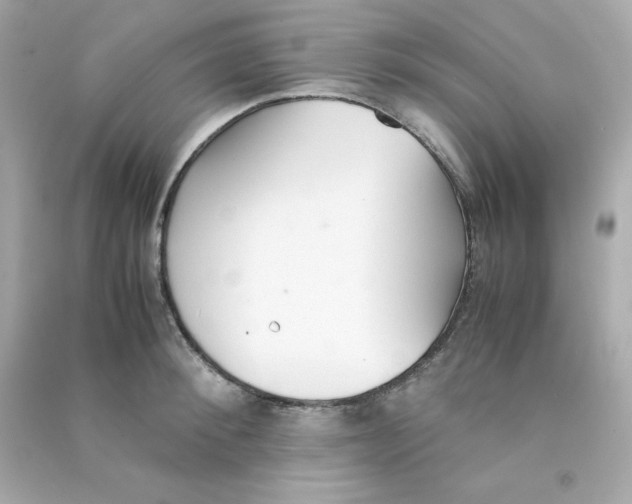 X0000090450900200708102046