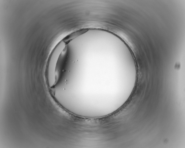 X0000090450901200708102046