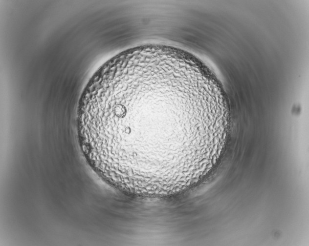 X0000090450903200708102046