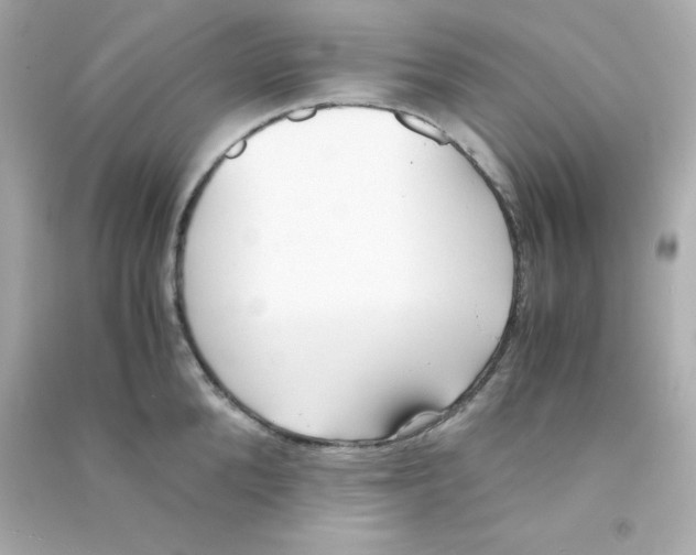 X0000090450904200708102046