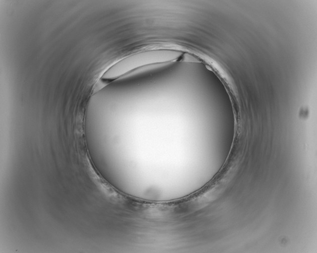 X0000090450905200708102046