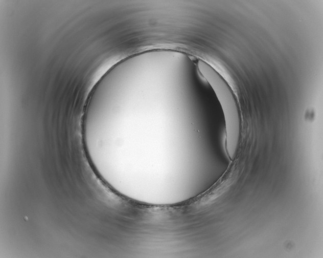 X0000090450906200708102046