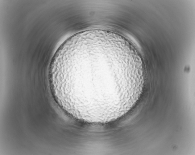 X0000090450907200708102046