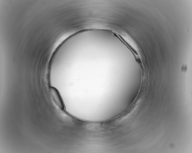 X0000090450909200708102046