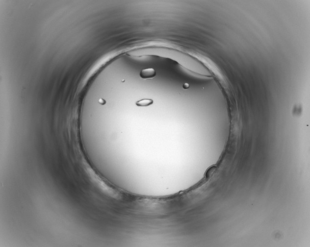 X0000090450910200708102046