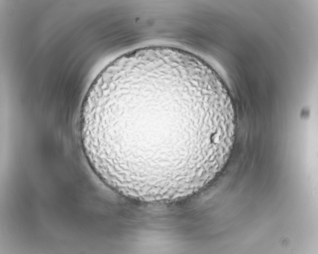 X0000090450911200708102046