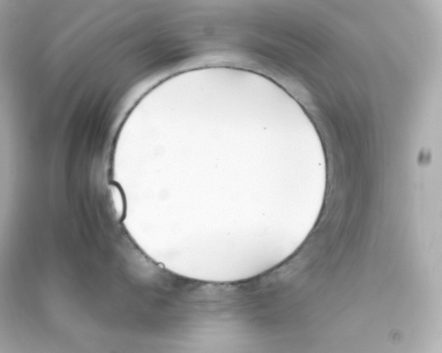 X0000090450912200708102046