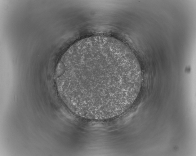 X0000090450913200708102046