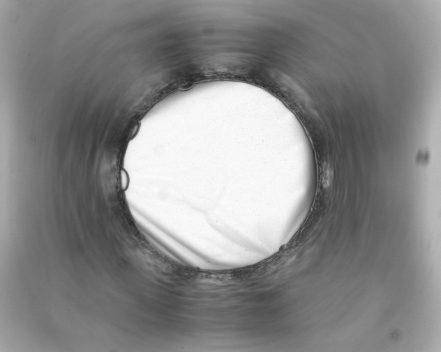 X0000090450915200708102046