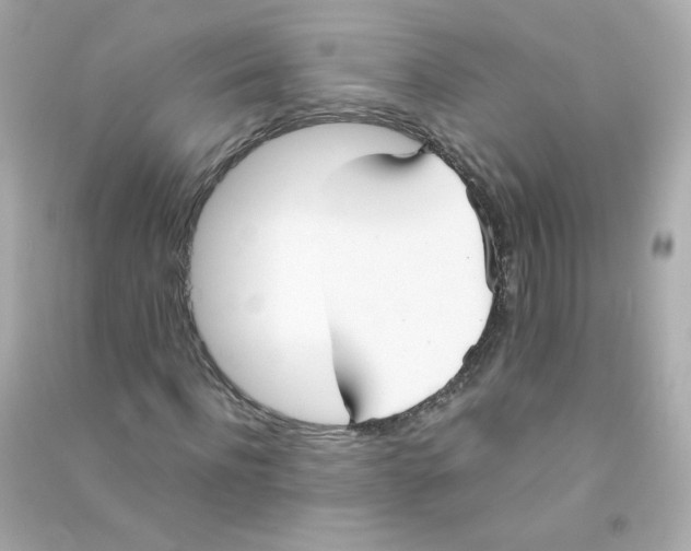 X0000090450916200708102046