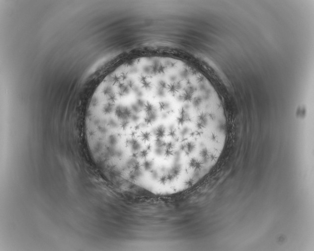 X0000090450919200708102046
