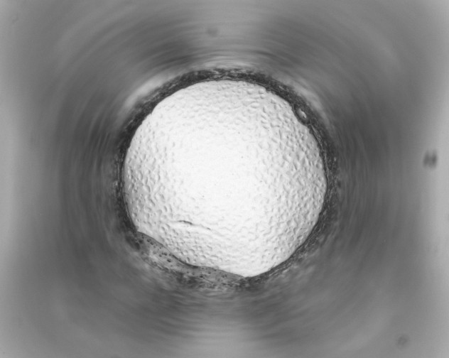 X0000090450920200708102046