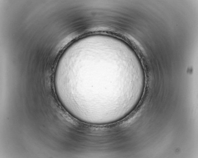 X0000090450921200708102046