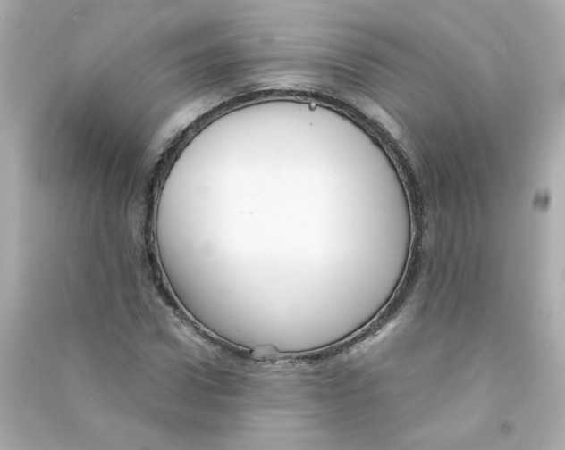 X0000090450922200708102046