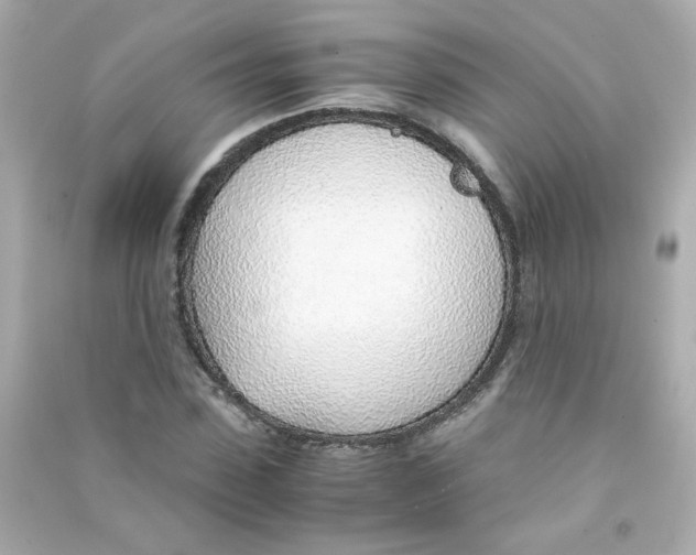 X0000090450923200708102046