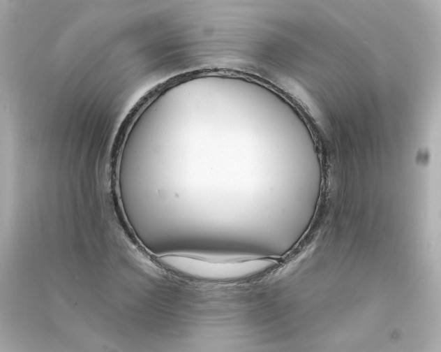 X0000090450924200708102046