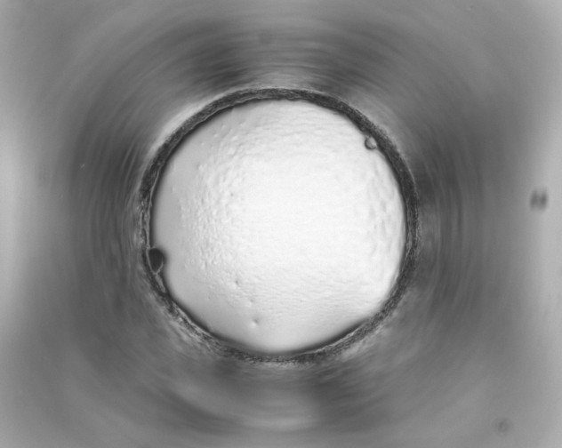 X0000090450925200708102046