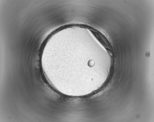 X0000090450926200708102046