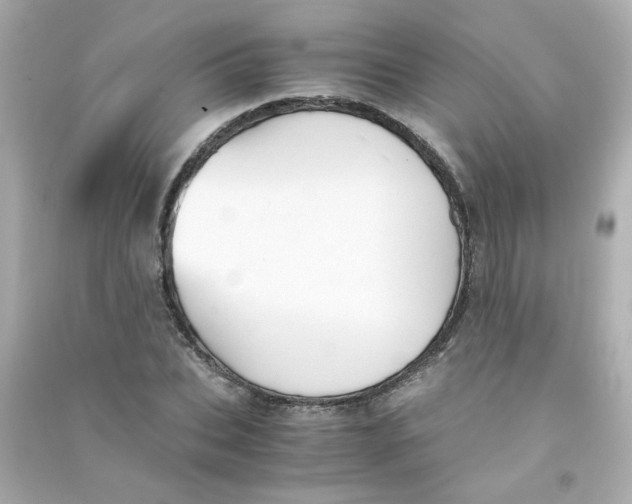 X0000090450927200708102046