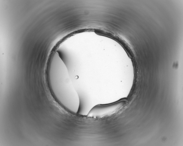 X0000090450928200708102046