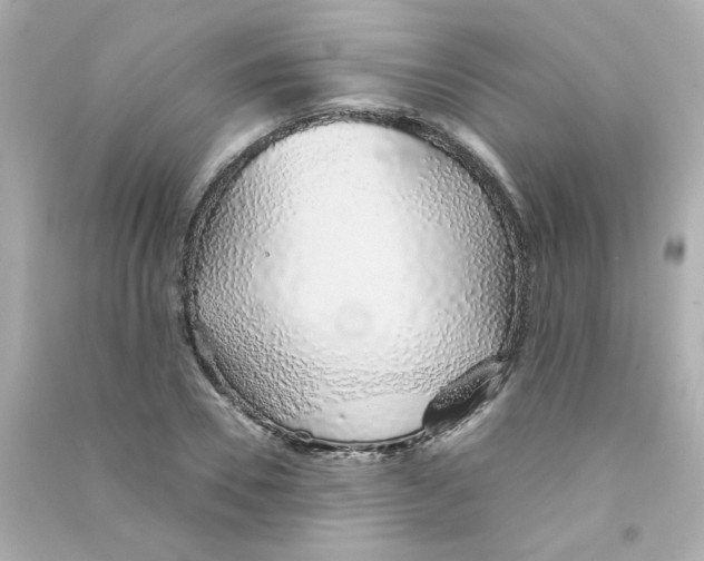 X0000090450930200708102046