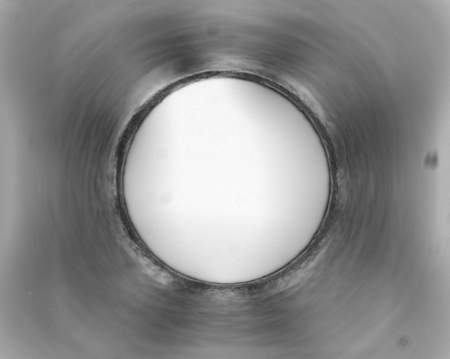 X0000090450931200708102046