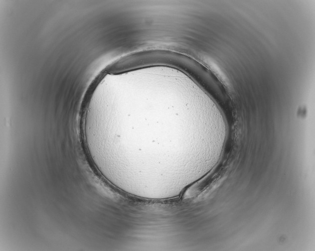 X0000090450932200708102046