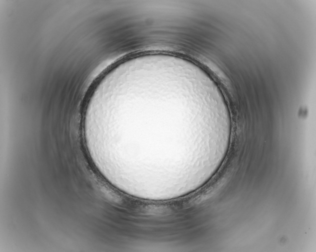 X0000090450933200708102046