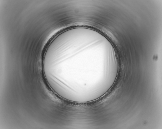 X0000090450934200708102046